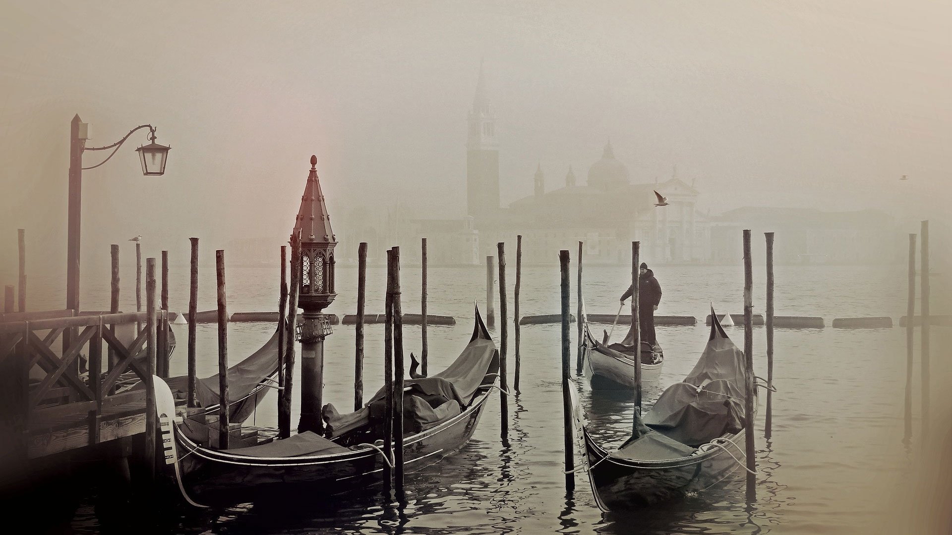 realizzazione siti web Venezia