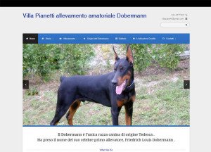 Allevamento Dobermann