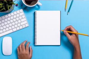 Grafica web ancona